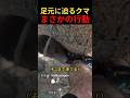 足元に迫るクマまさかの行動