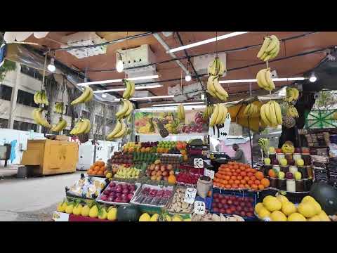    جولة في مدينة اللاذقية مشروع الصليبة مدرسة محمد شكري حكيم