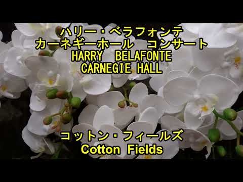I LOVE MUSIC ハリー・ベラフォンテ カネギーホールコンサート