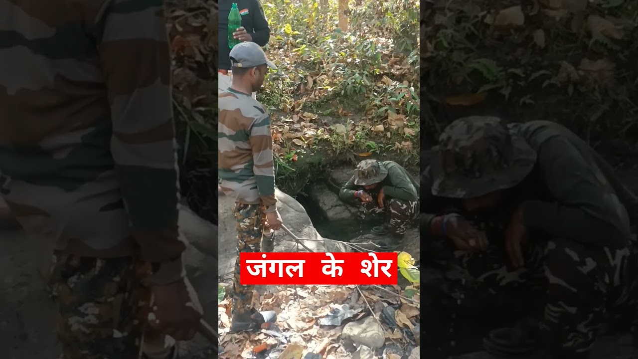 जंगल का योधा Bihar Police Forest