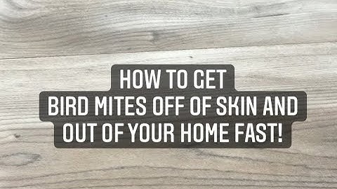 HOW TO GET BIRD MITES OFF OF SKIN AND OUT OF YOUR HOUSE FAST!