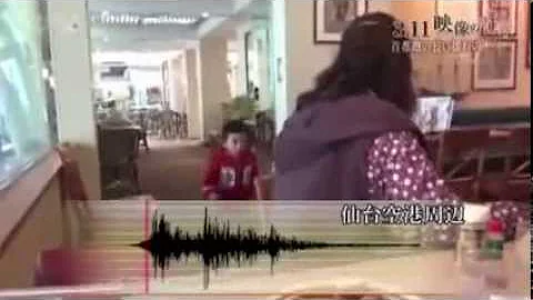 Che tipo di terremoti ci sono in Giappone?