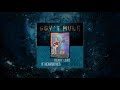 Gov't Mule - If Heartaches Were Nickels (Visualizer Video)