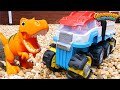 Paw Patrol Videos de Aprendizaje para Niños: ¡Aprende Nombres de Dinosaurios y Conoce a Rex!