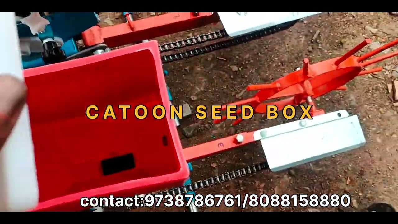 Cotton seed box  KALABURAGI