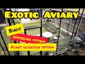 Aviary | Birds | Watering system | plant & irigation