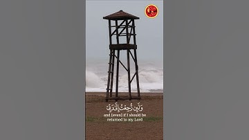 سورة فصلت الآيات 49-51 /Surah Fussilat Ayat 49-51