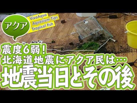 [水槽倒壊]震度6弱、北海道地震当日の状況と現在の様子[アクアリウム]