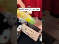 جنطه اختي الي عمرها 11 سنه  فيديو جديد بنات ترند جنط
