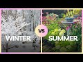 Seasonal Garden Transformation from Winter Snow to Summer Blooms!
