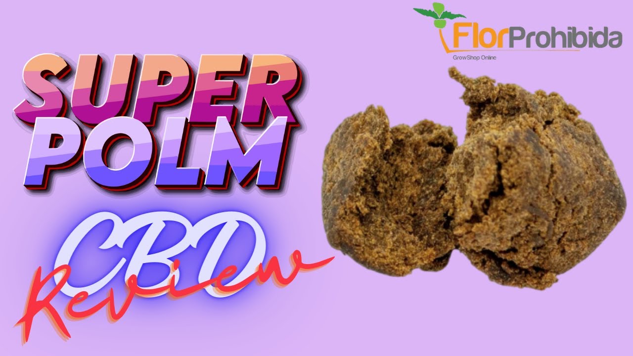 SUPER POLM de FLOR PROHIBIDA Hash Cáñamo CBD Review Green Station CBD YouTube