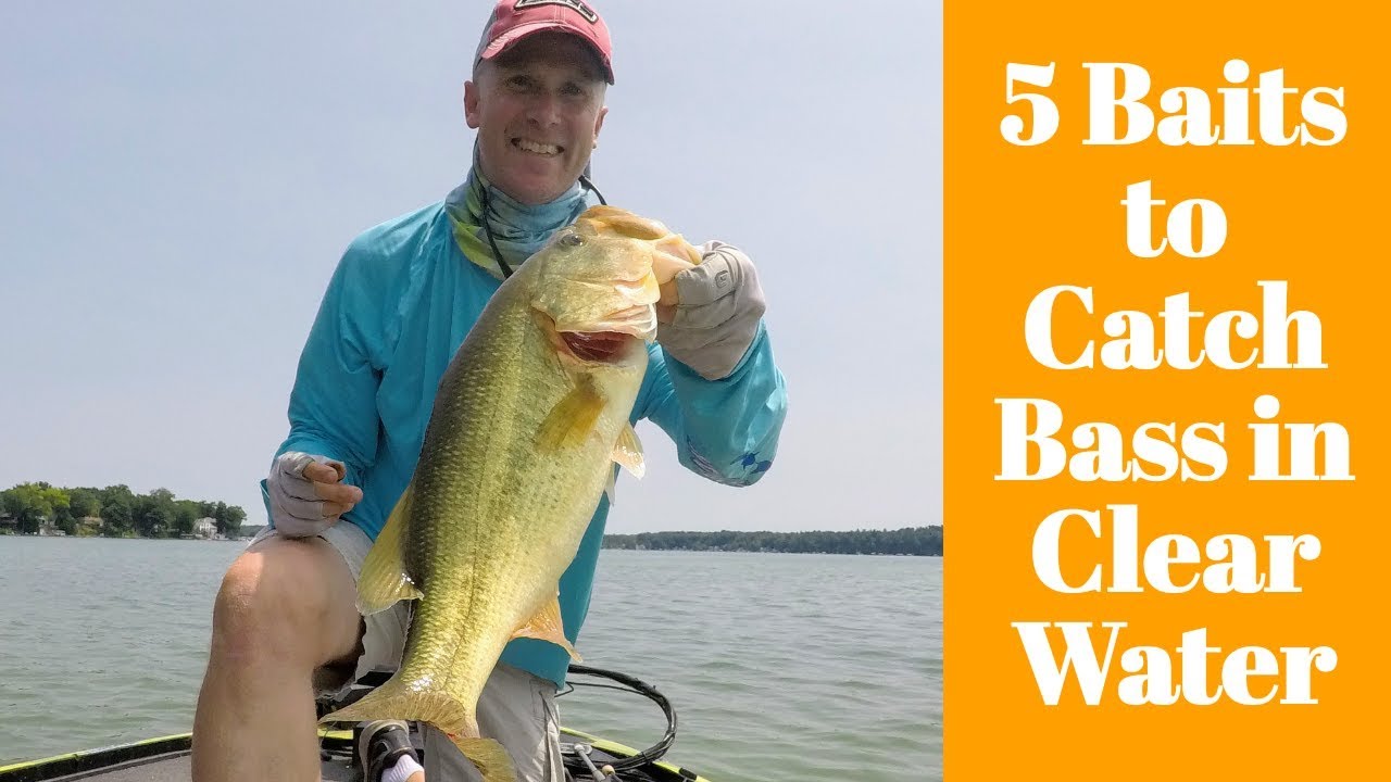 Lures to Catch Bass in Clear Water YouTube
