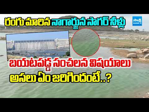 రంగు మారిన నాగార్జున సాగర్ నీళ్లు : Nagarjun Sagar Water Polluted | Nalgonda | Sakshi TV - SAKSHITV