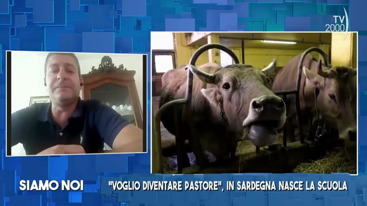 Scuola Sarda di Pastorizia | TV2000