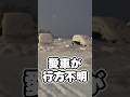 雪国で働くとこうなる⛄(寒波直撃の肉体労働)