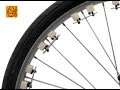 Xylophone Wheel || Perpetual Useless Xylophone Wheel || Perpetual Useless