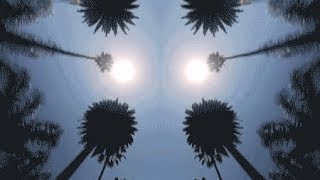 Druh Am X Goblin - Deixa que a vibe te consuma