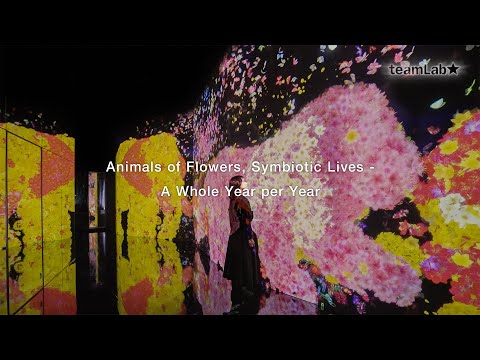 Animals of Flowers, Symbiotic Lives - A Whole Year per Year