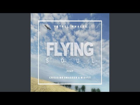 Vidéo: Flying Soul - Vue Alternative