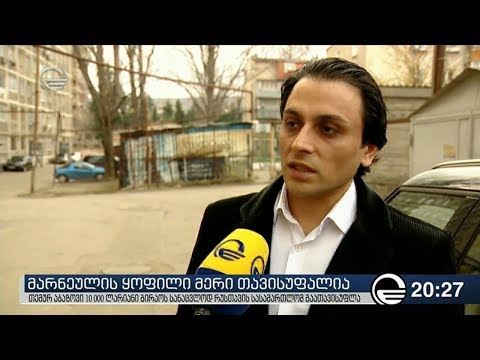 მარნეულის ყოფილი მერი თავისუფალია