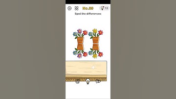 Brain Out Level No.89 Spot the differences.