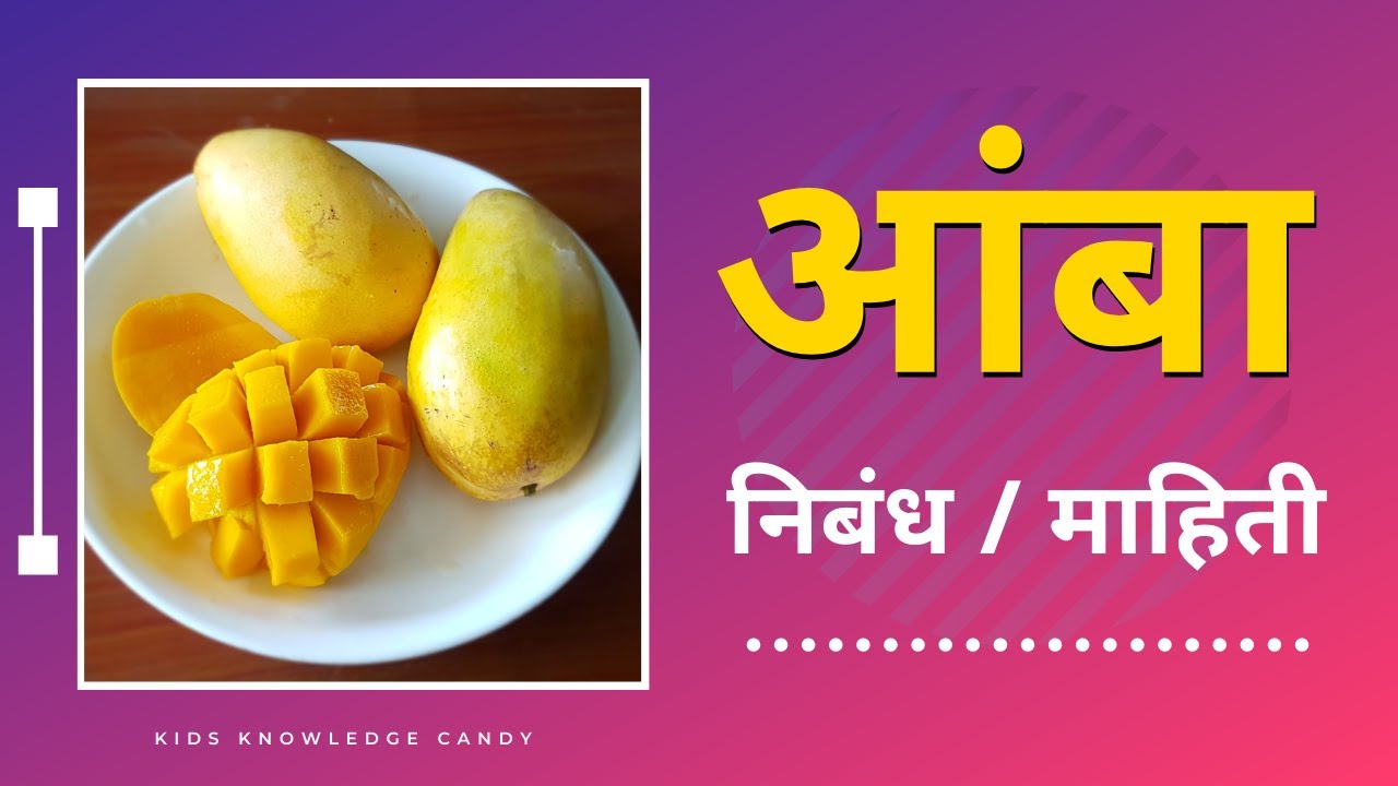 mango essay writing in marathi