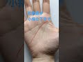 知能線が小指の下まである人は想像力豊かでロマンチスト