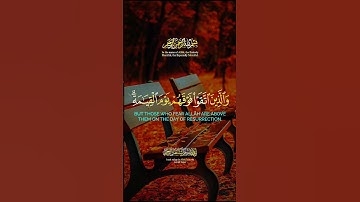 ✨ زُيِّنَ لِلَّذِينَ كَفَرُوا الْحَيَاةُ الدُّنْيَا | تلاوة تلامس القلوب 💖