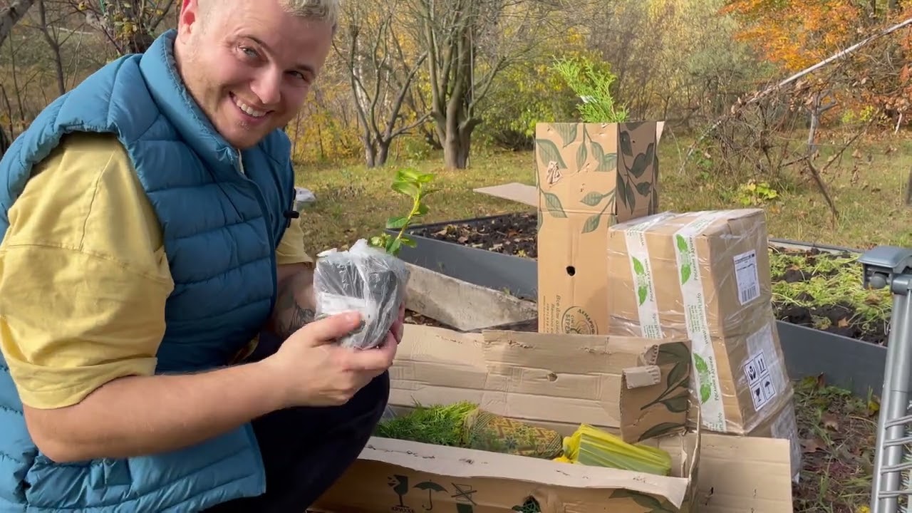Мега розпаковка саджанців. Останні посадки в цьому сезоні. Посилка від Бережнюків та Зелені янголи