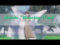 [Classical Instrumental] Rondo "Dancing Wind" / Sin't Crow