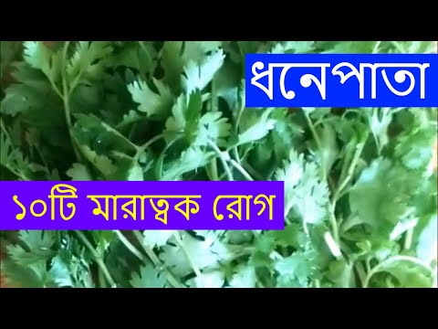 ভিডিও: ধনেপাতা উপকারিতা