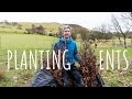 My dream smallholding planting up the bank