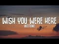 Vicetone, Willim - Wish You Were Here (Lyrics) ft. Wink XY