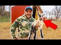 Surprise BABY Goat was BORN in the BACKYARD FARM!!! (Unexpected)