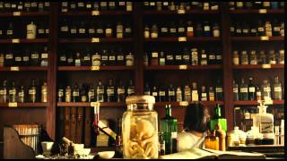 The Fall Trailer (2006) 1080p
