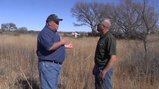management minute roost trees