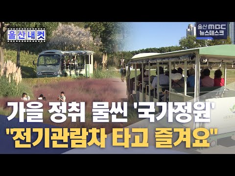 울산내컷 전기 관람차 타고 국가정원 즐겨요 2023 10 09 뉴스데스크 울산MBC 