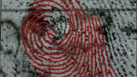 Automated Fingerprint Identification System (AFIS)