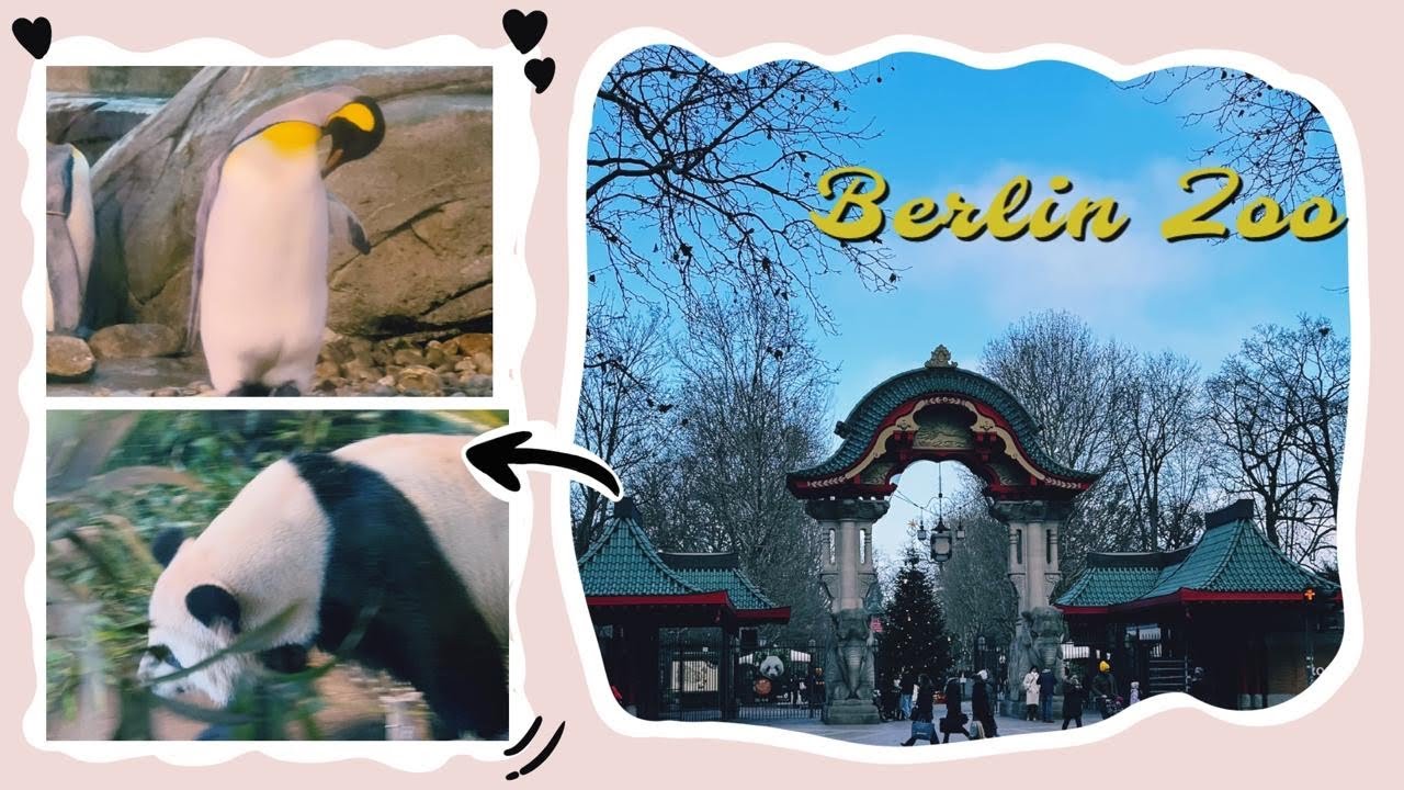 Berlin Zoo | A Day with Wildlife in the Heart of Berlin