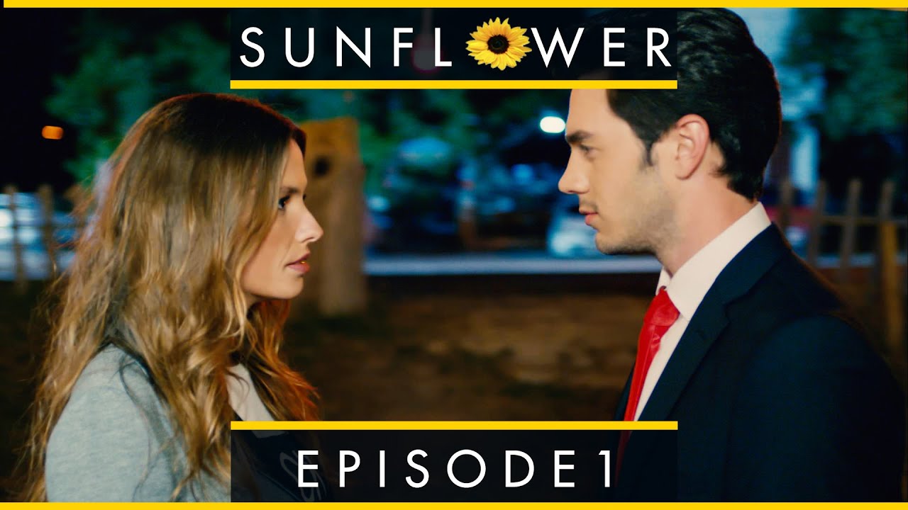 ⁣Sunflower - Episode 1