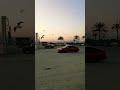 طبيعة ساحرة وقت الغروب طيور إمارة الفجيرة تغني مع سكانها اغنية البحر والسكينة طبيعة ساحرة وقت الغروب طيور إمارة الفجيرة تغني مع سكانها اغنية البحر والسكينة