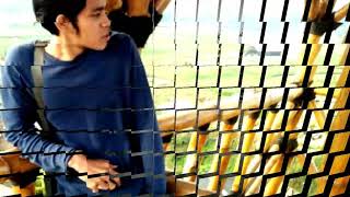 Download Lagu Iwan fals ~ salah siapa MP3