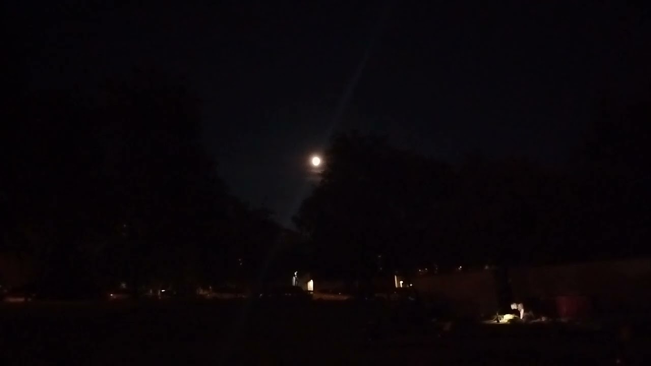 PORTLAND SYNTH LIBRARY live featuring AKEMI  at Cathedral Park 9/15/24