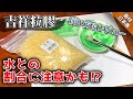 【日本画材】ちょっと注意⁉︎ 吉祥粒膠レビュー＆使い方! つらら庵