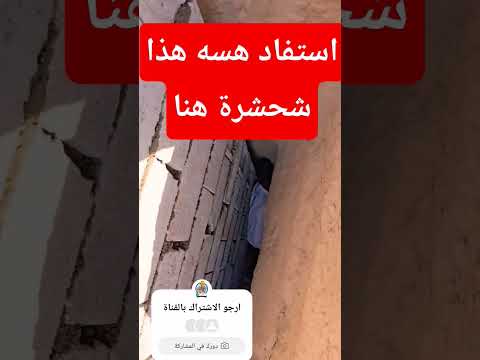 شوف الحظ والبخت حشر بال بلوعة سبتتنك