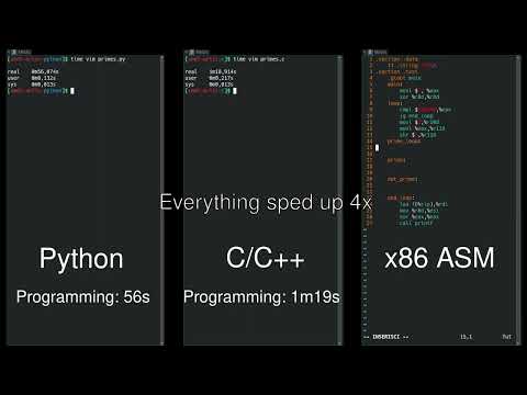 Python vs C/C++ vs Assembleur