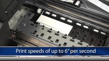 Primera LX2000 Color Label Printer by Label Power