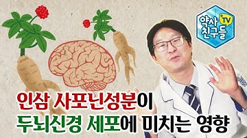 인삼 사포닌성분이 두뇌신경 세포에 미치는 영향 정관장 홍삼정 원진생