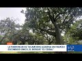 #ENVIVO | Noticiero de Ecuador, Emisión Estelar