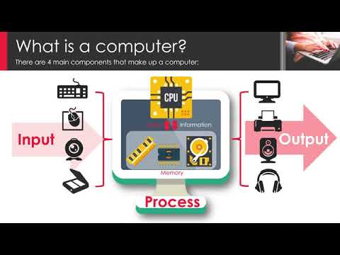Microbit-0-1-Input Output Concept